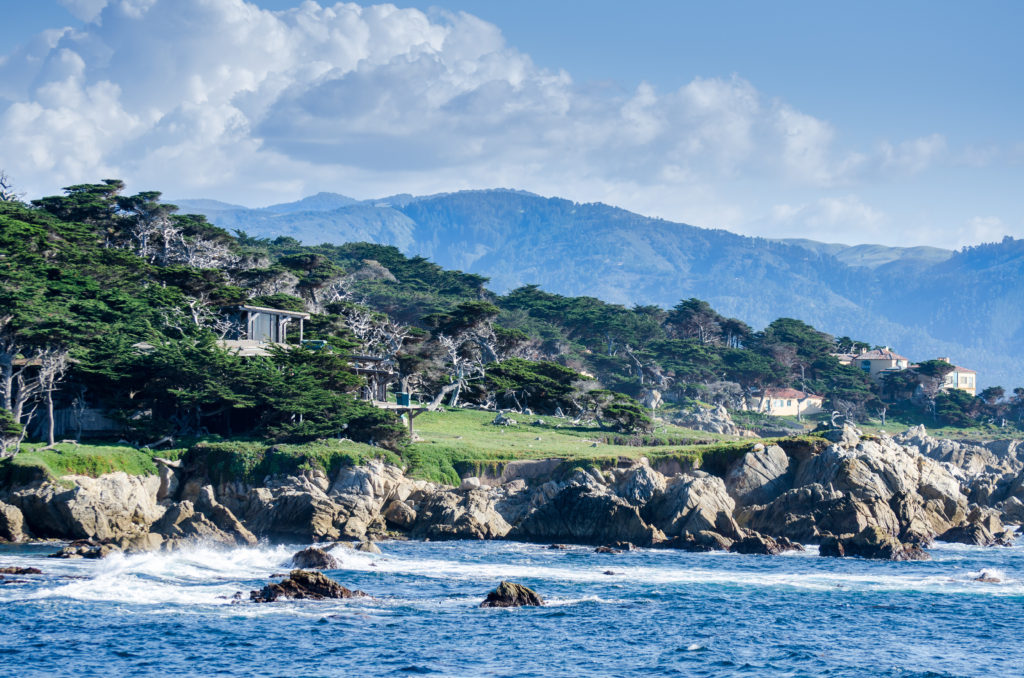 Coastline along Pebble Beach, California